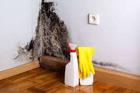 Best Attic Mold Removal  in Wolf Point, MT